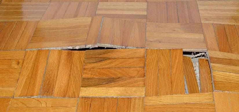 What to Do with Water Damaged Hardwood Floors