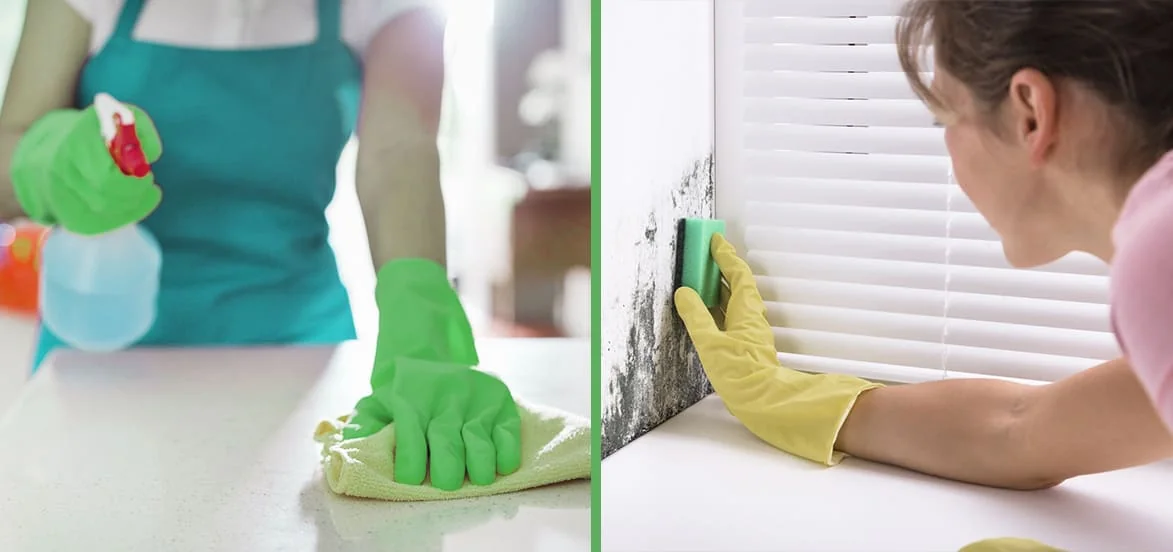 Top Reasons For Moldy Smell In Your House