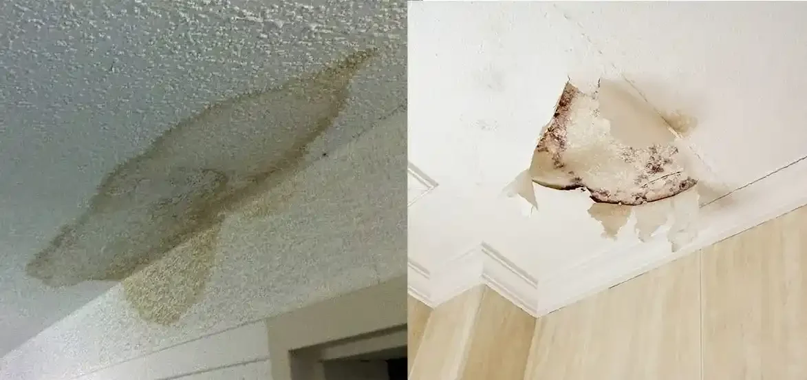 5 Simple Steps To Dealing With Water Damage In A Residential Situation