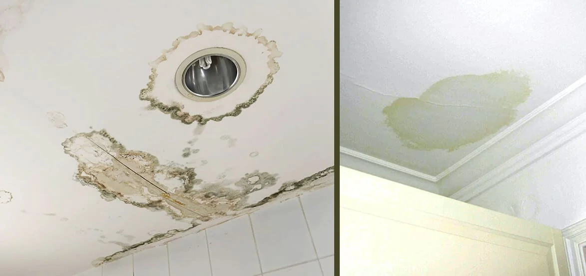 Why Should You Never Neglect Little Water Spots On Your Ceiling