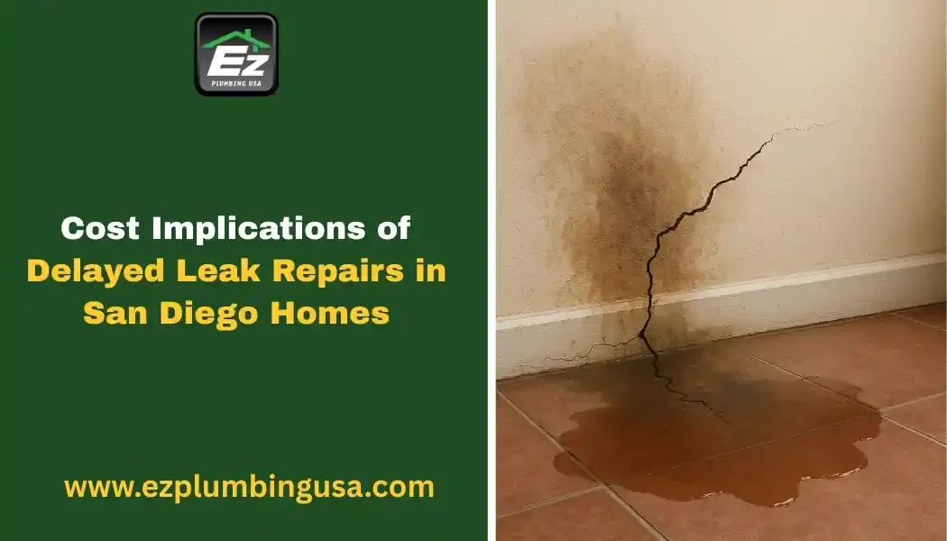 Cost Implications of Delayed Leak Repairs in San Diego Homes