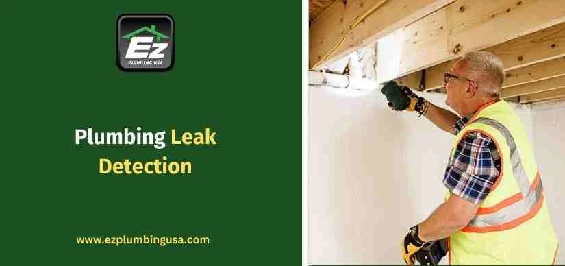 Plumbing Leak Detection