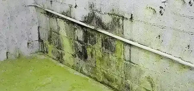 Step By Step Guide On How To Repair An Outside Leak