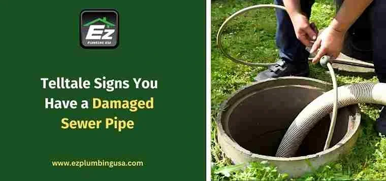 Telltale Signs You Have a Damaged Sewer Pipe