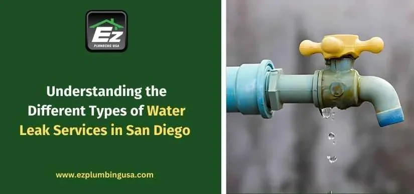 Understanding the Different Types of Water Leak Services in San Diego