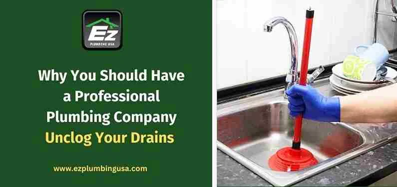 Why You Should Have a Professional Plumbing Company Unclog Your Drains