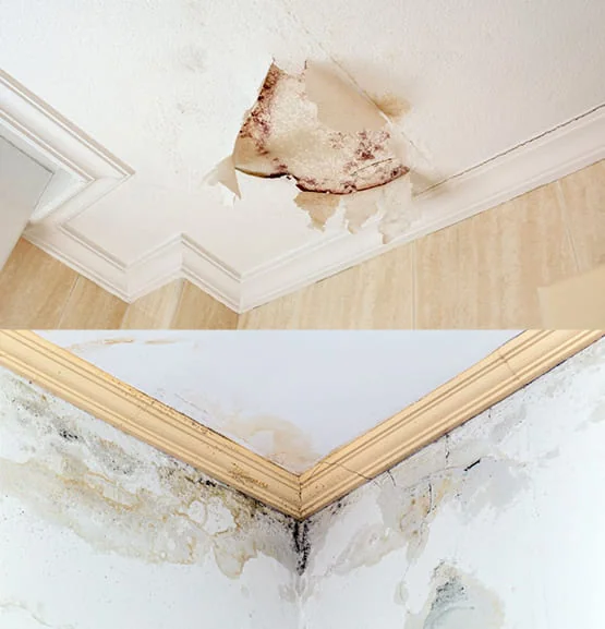Water Damage Restoration in Brea