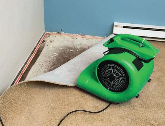 Water Damage Restoration services in Cypress