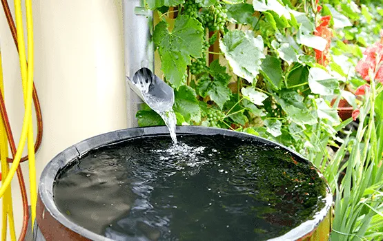 EZ Plumbing USA water conservation at home in San Diego