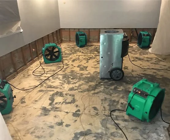 Water Damage Restoration Hemet