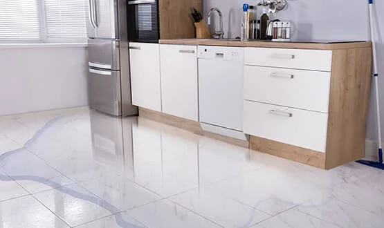 Water Damage Restoration in Laguna Beach
