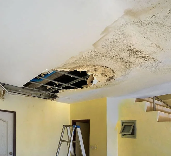 Water Damage Restoration in Newport Beach