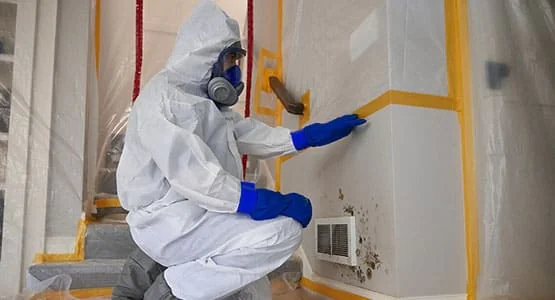 Water Damage Restoration services in Newport Beach