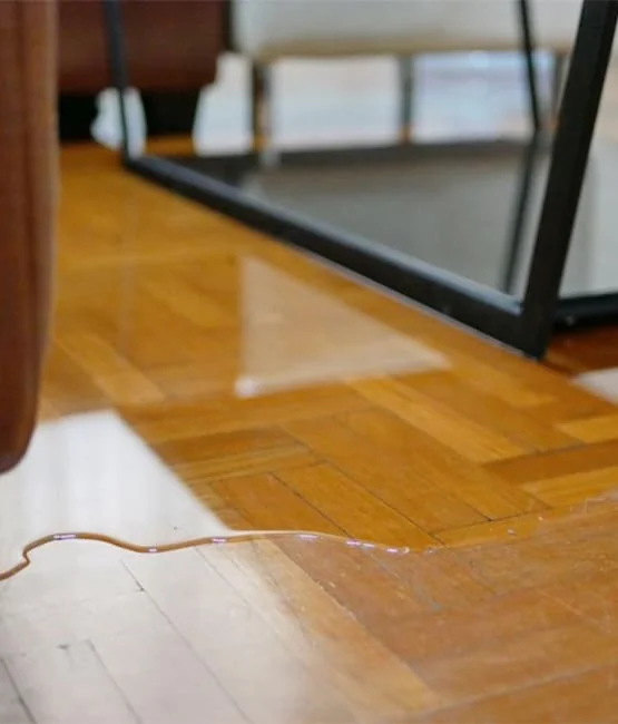 Water Damage Restoration in Placentia