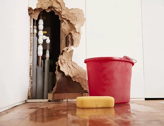 Water Damage Restoration services in Placentia