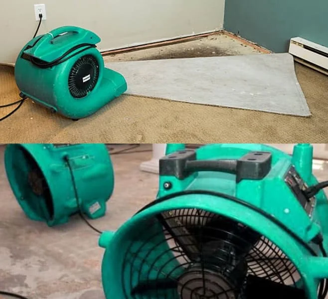 Water Damage Restoration in Rancho Santa Margarita