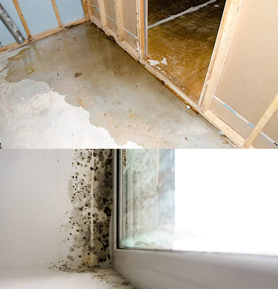 Water Damage Restoration in San Clemente