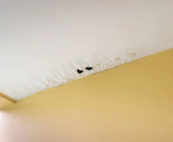 Water Damage Restoration services in San Clemente