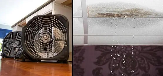 Easily Overcome Series Of Threats Amid Water Damage In San Marcos