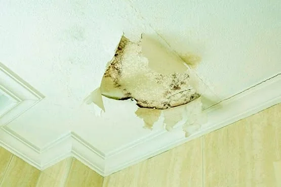 Slab Leak Detection and Repair services in Buena Park