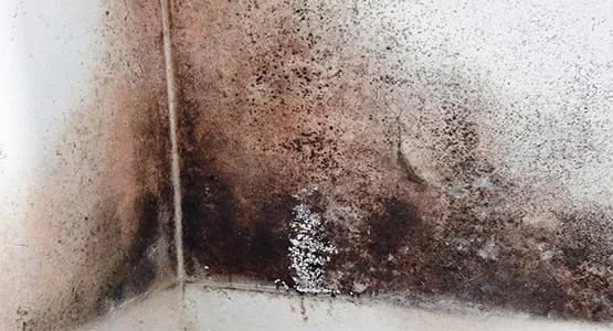 Water Damage Restoration services in Yorba Linda