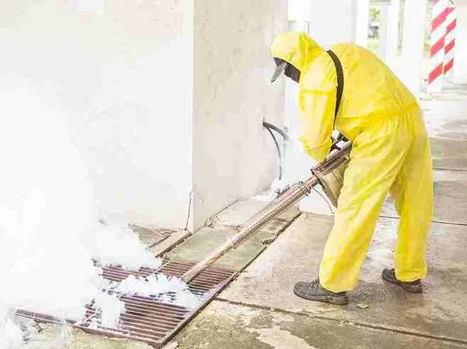 The Mold Remediation Process